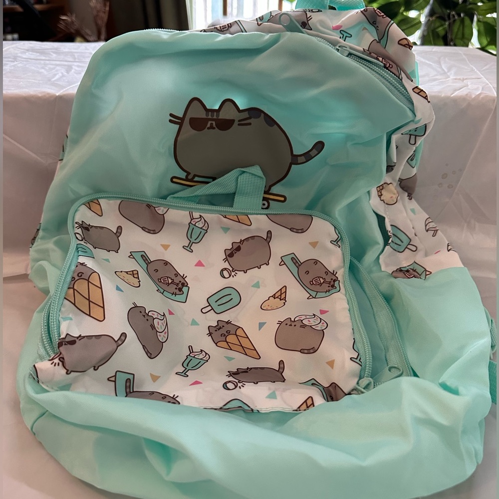 Pusheen Summer Subscription Box Items